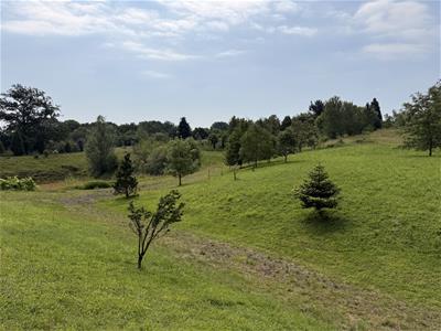 Picture 22